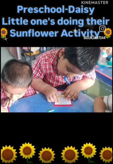 Sunflower Activity
